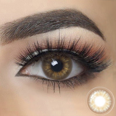 Symphony Circle Brown Colored Contact Lenses