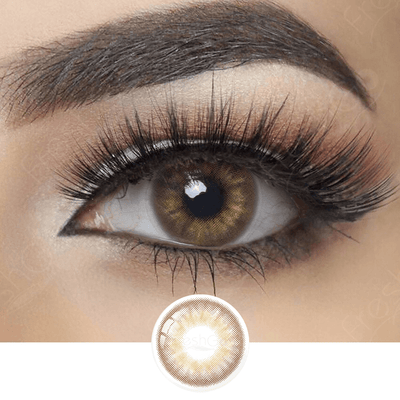 freshgo Symphony Circle Brown Colored Contacts